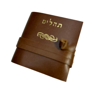 תהילים